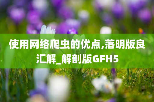 使用网络爬虫的优点,落明版良汇解_解剖版GFH5