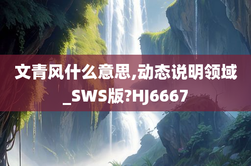 文青风什么意思,动态说明领域_SWS版?HJ6667