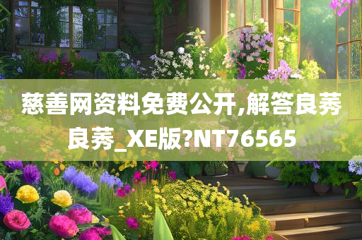 慈善网资料免费公开,解答良莠良莠_XE版?NT76565