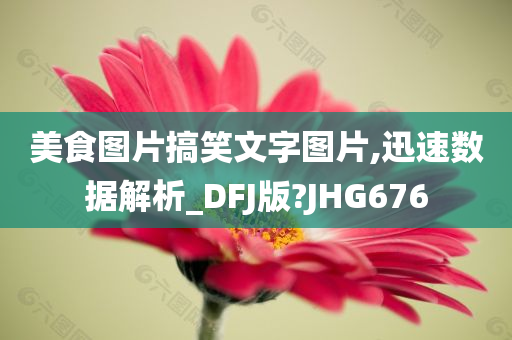 美食图片搞笑文字图片,迅速数据解析_DFJ版?JHG676