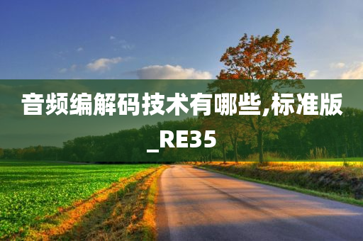 音频编解码技术有哪些,标准版_RE35