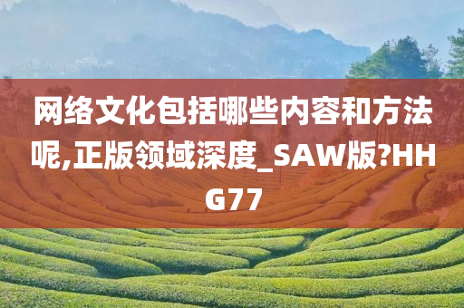 网络文化包括哪些内容和方法呢,正版领域深度_SAW版?HHG77