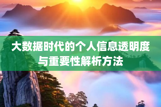 大数据时代的个人信息透明度与重要性解析方法