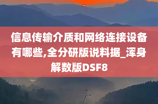 信息传输介质和网络连接设备有哪些,全分研版说料据_浑身解数版DSF8