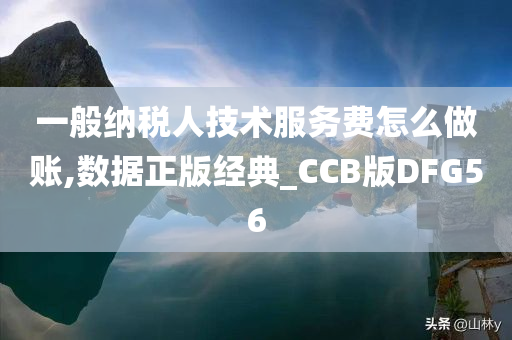 一般纳税人技术服务费怎么做账,数据正版经典_CCB版DFG56