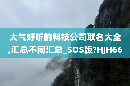 大气好听的科技公司取名大全,汇总不同汇总_SOS版?HJH66