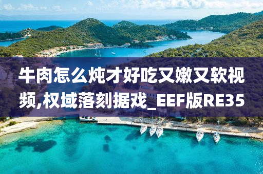 牛肉怎么炖才好吃又嫩又软视频,权域落刻据戏_EEF版RE35