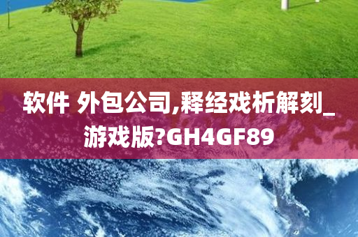 软件 外包公司,释经戏析解刻_游戏版?GH4GF89