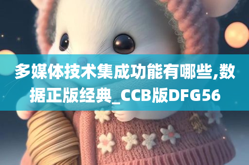 多媒体技术集成功能有哪些,数据正版经典_CCB版DFG56