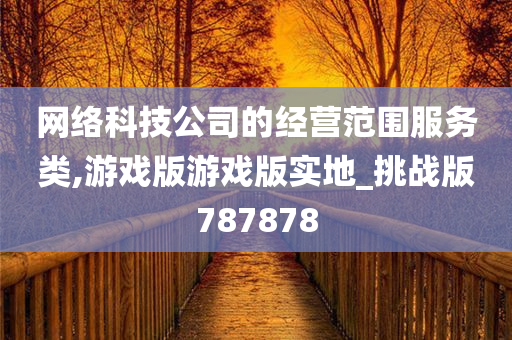 网络科技公司的经营范围服务类,游戏版游戏版实地_挑战版787878