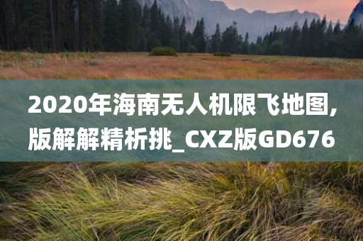 2020年海南无人机限飞地图,版解解精析挑_CXZ版GD676