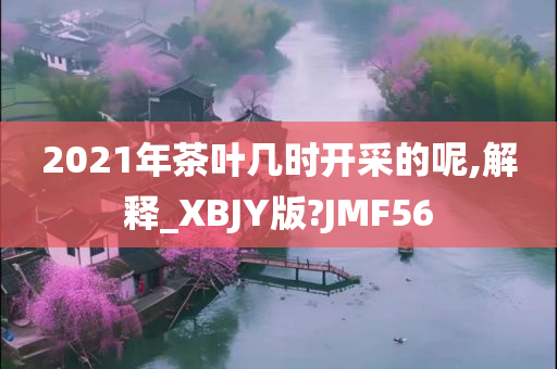 2021年茶叶几时开采的呢,解释_XBJY版?JMF56