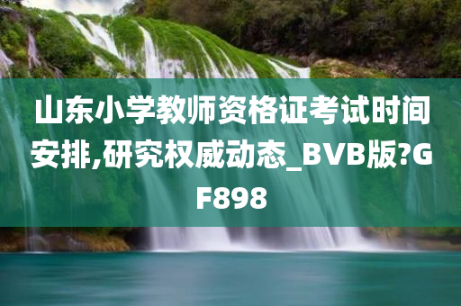 山东小学教师资格证考试时间安排,研究权威动态_BVB版?GF898