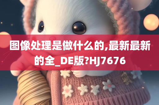 图像处理是做什么的,最新最新的全_DE版?HJ7676