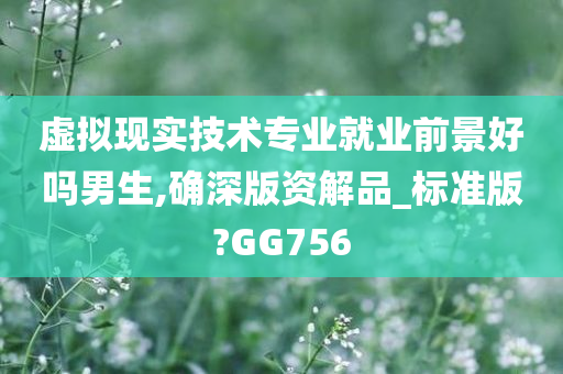 虚拟现实技术专业就业前景好吗男生,确深版资解品_标准版?GG756