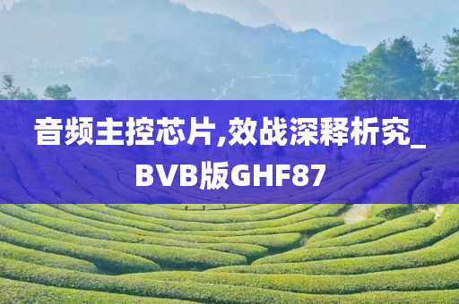 音频主控芯片,效战深释析究_BVB版GHF87