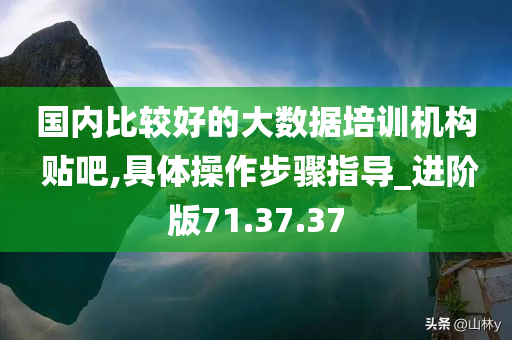 国内比较好的大数据培训机构 贴吧,具体操作步骤指导_进阶版71.37.37