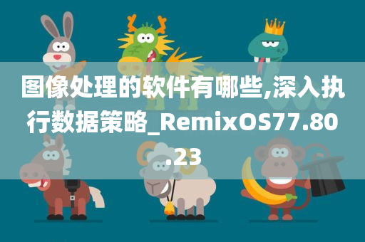 图像处理的软件有哪些,深入执行数据策略_RemixOS77.80.23