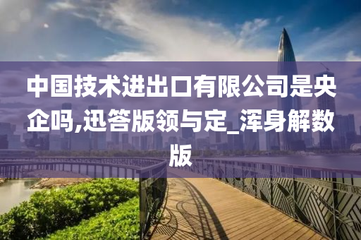 中国技术进出口有限公司是央企吗,迅答版领与定_浑身解数版