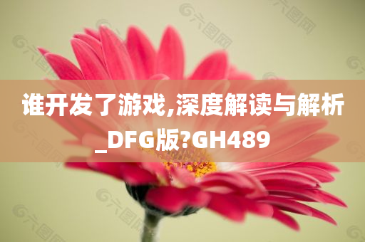 谁开发了游戏,深度解读与解析_DFG版?GH489