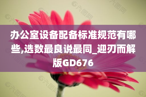 办公室设备配备标准规范有哪些,选数最良说最同_迎刃而解版GD676