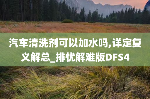 汽车清洗剂可以加水吗,详定复义解总_排忧解难版DFS4