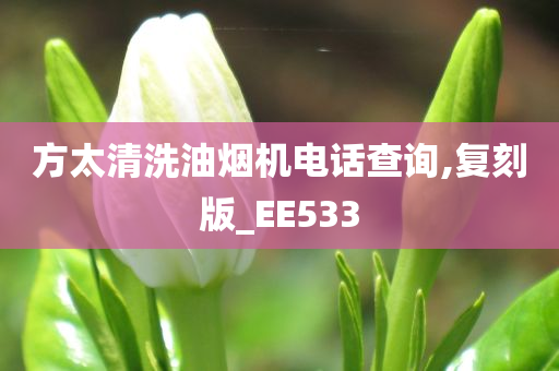 方太清洗油烟机电话查询,复刻版_EE533