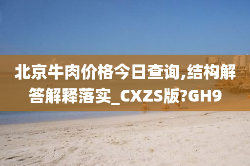 北京牛肉价格今日查询,结构解答解释落实_CXZS版?GH9