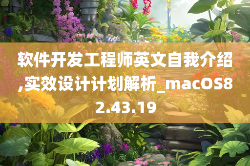 软件开发工程师英文自我介绍,实效设计计划解析_macOS82.43.19