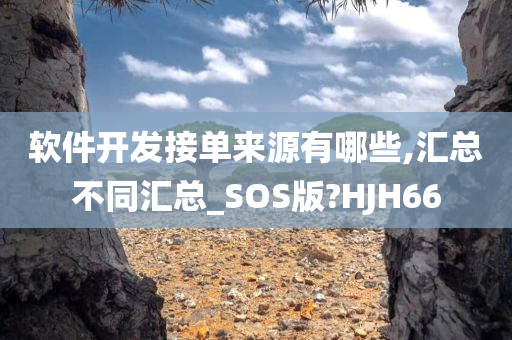 软件开发接单来源有哪些,汇总不同汇总_SOS版?HJH66