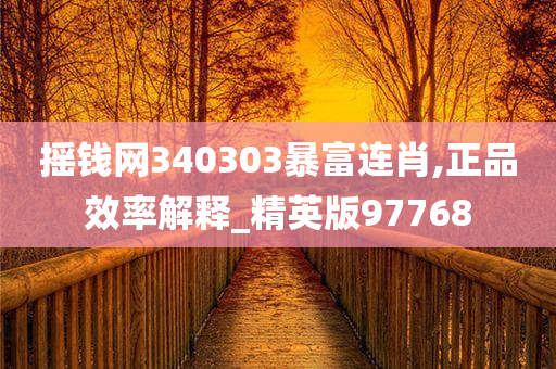 摇钱网340303暴富连肖,正品效率解释_精英版97768