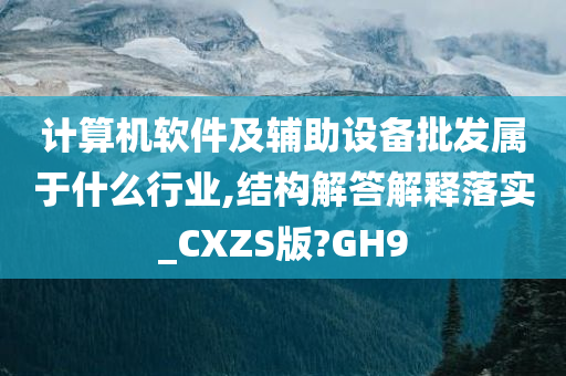 计算机软件及辅助设备批发属于什么行业,结构解答解释落实_CXZS版?GH9