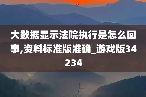 大数据显示法院执行是怎么回事,资料标准版准确_游戏版34234