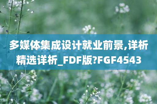 多媒体集成设计就业前景,详析精选详析_FDF版?FGF4543