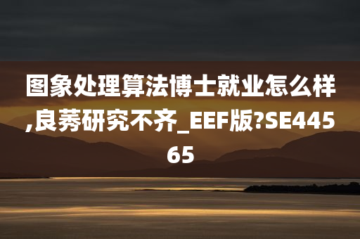 图象处理算法博士就业怎么样,良莠研究不齐_EEF版?SE44565