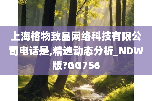 上海格物致品网络科技有限公司电话是,精选动态分析_NDW版?GG756