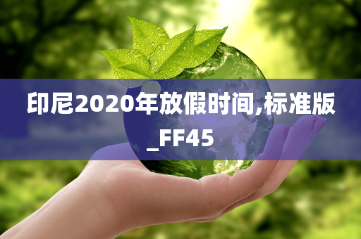 印尼2020年放假时间,标准版_FF45