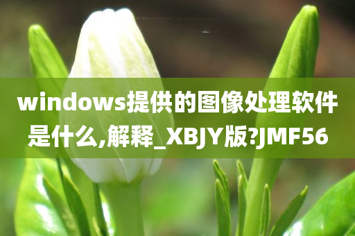 windows提供的图像处理软件是什么,解释_XBJY版?JMF56