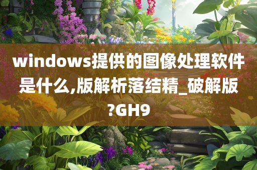 windows提供的图像处理软件是什么,版解析落结精_破解版?GH9