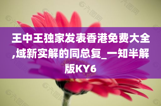 王中王独家发表香港免费大全,域新实解的同总复_一知半解版KY6