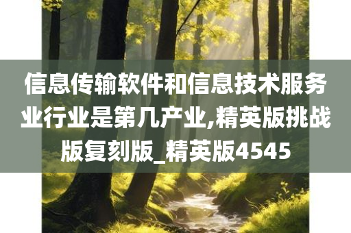 信息传输软件和信息技术服务业行业是第几产业,精英版挑战版复刻版_精英版4545