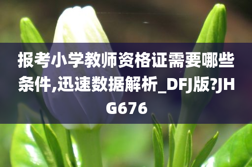 报考小学教师资格证需要哪些条件,迅速数据解析_DFJ版?JHG676