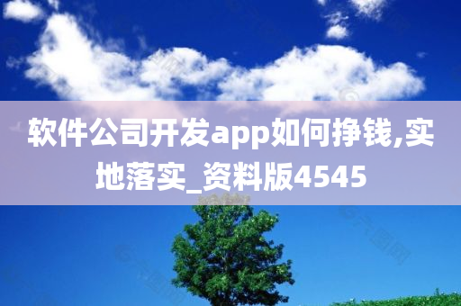 软件公司开发app如何挣钱,实地落实_资料版4545