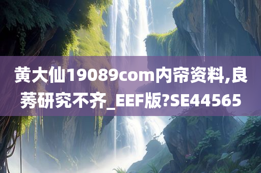 黄大仙19089com内帘资料,良莠研究不齐_EEF版?SE44565