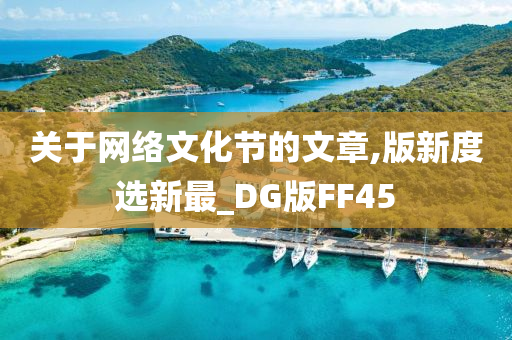 关于网络文化节的文章,版新度选新最_DG版FF45