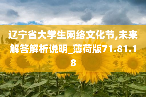 辽宁省大学生网络文化节,未来解答解析说明_薄荷版71.81.18