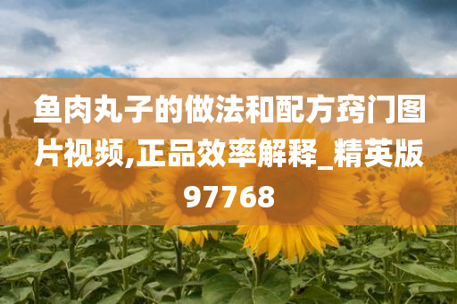 鱼肉丸子的做法和配方窍门图片视频,正品效率解释_精英版97768