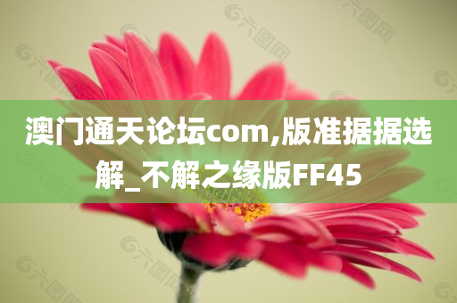 澳门通天论坛com,版准据据选解_不解之缘版FF45