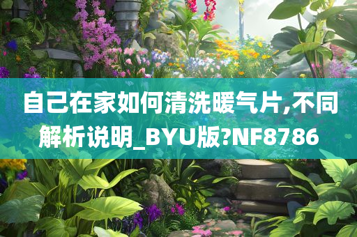 自己在家如何清洗暖气片,不同解析说明_BYU版?NF8786