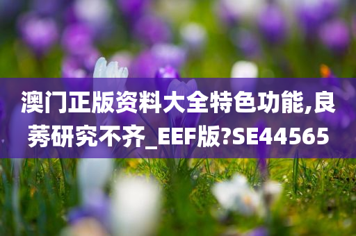 澳门正版资料大全特色功能,良莠研究不齐_EEF版?SE44565